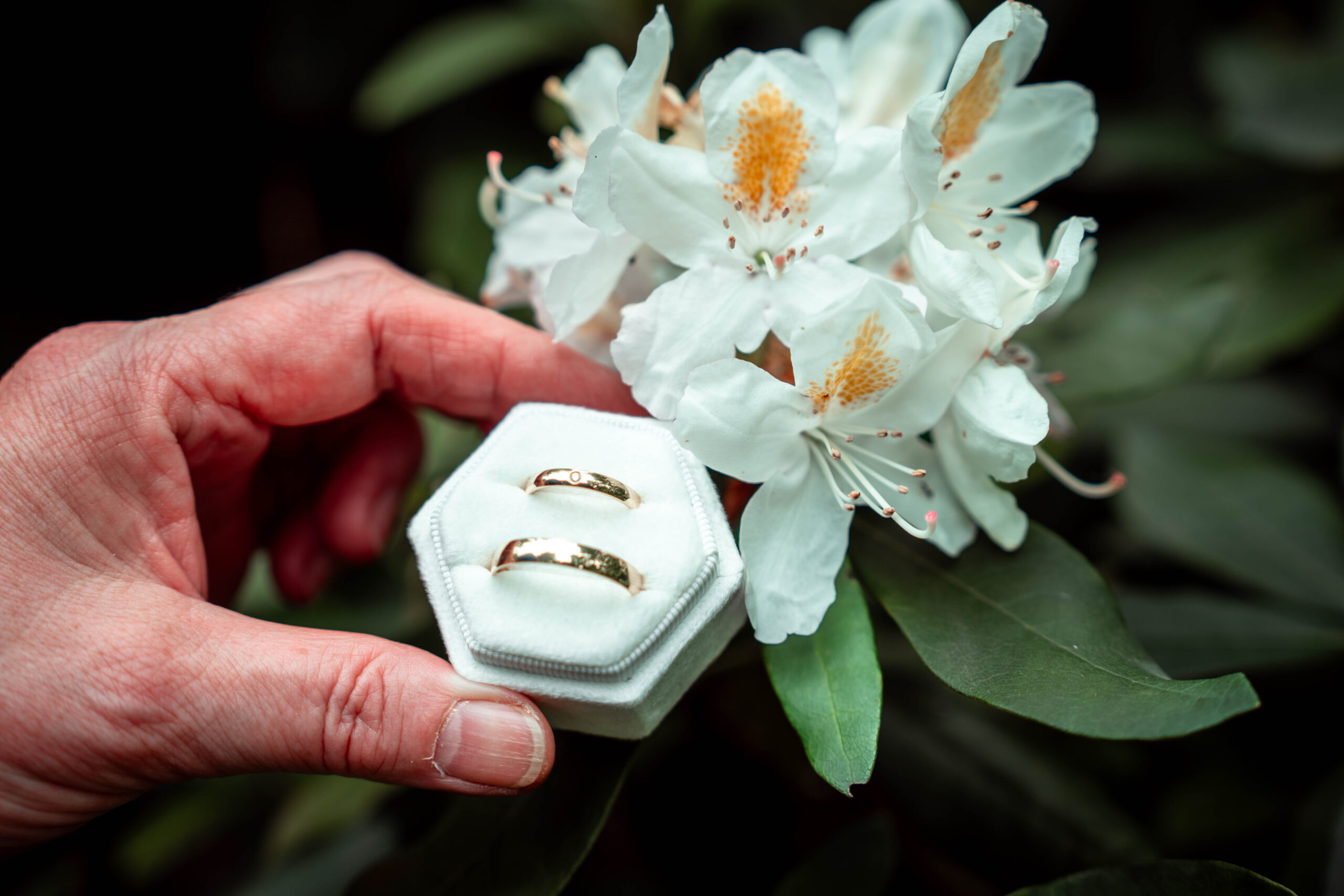 Bruiloft_Anne&Mergim_BruilMedia-02087